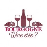 Bourgogne wine else